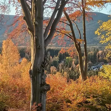 Lejlighed Sloneczny *